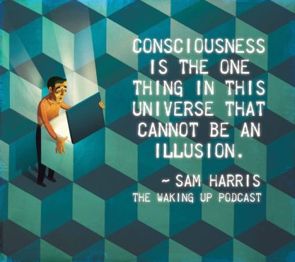 sam harris consciousness quote